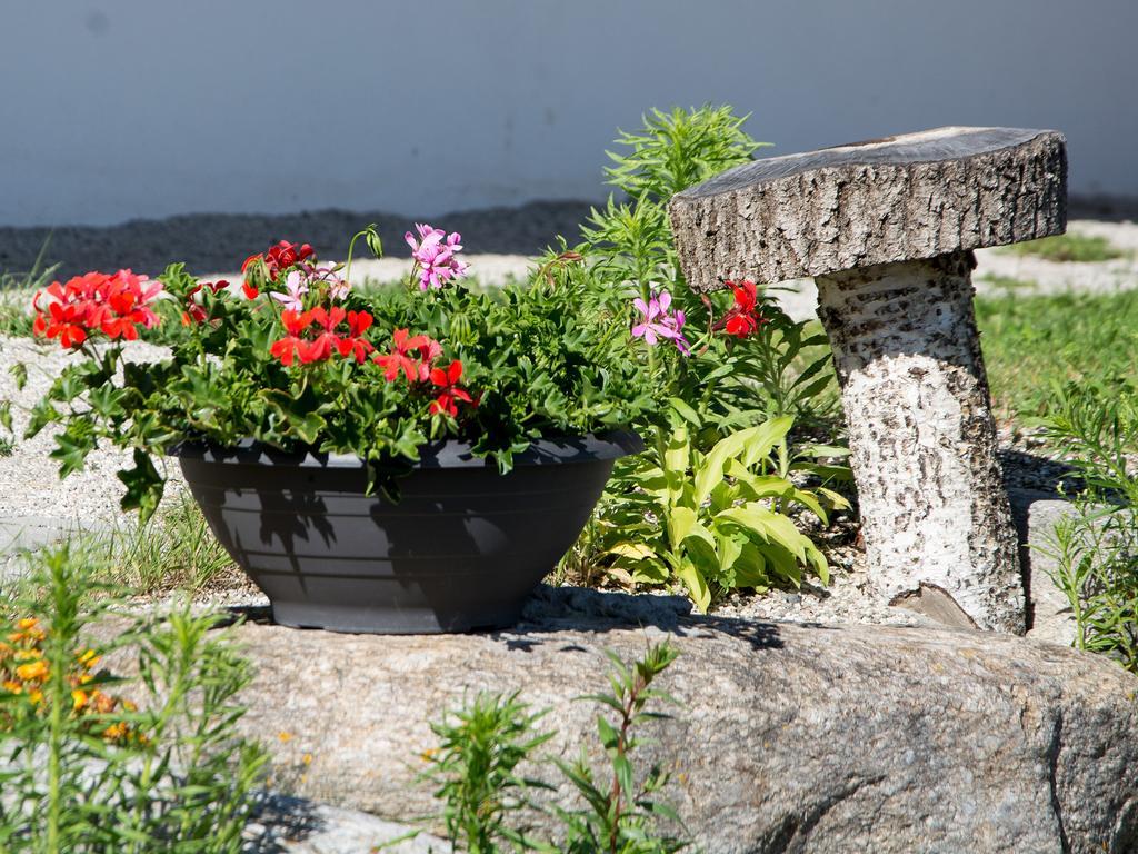 Farm stay Oberbaumgartnerhof *