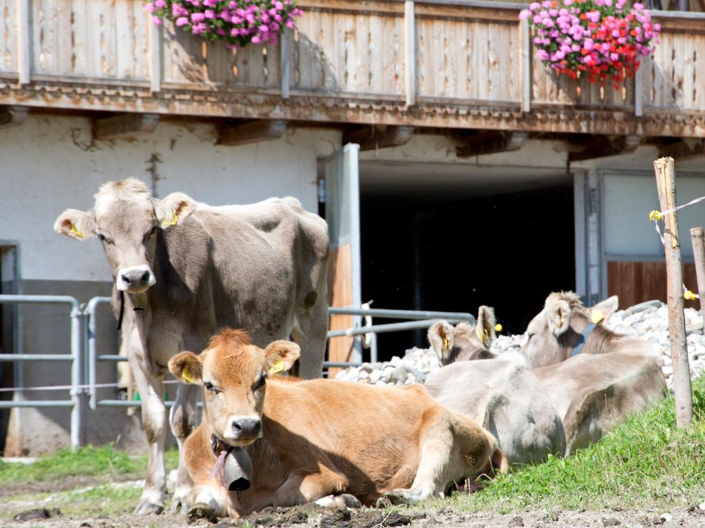 Séjour à la ferme Oberbaumgartnerhof Falzes