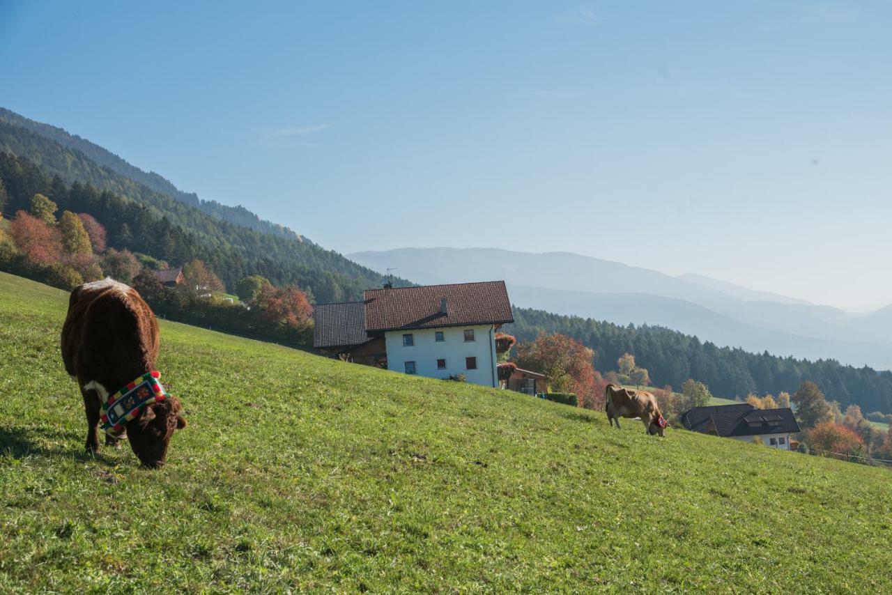 Agroturismo Oberbaumgartnerhof